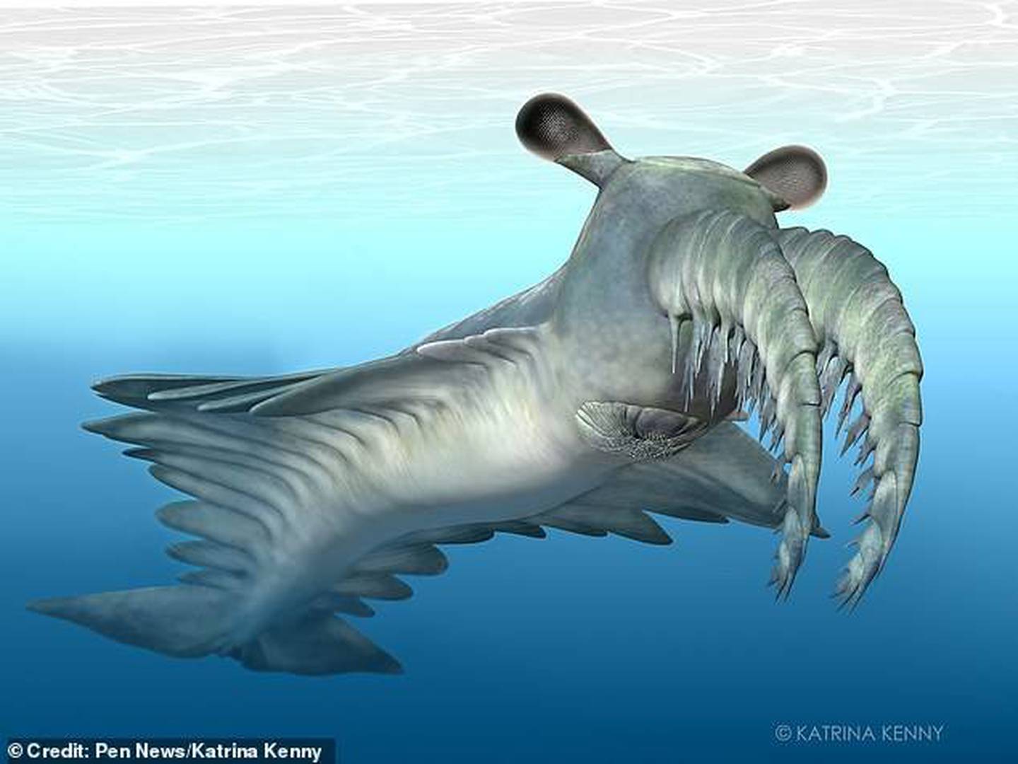 Animales marinos gigantes de la prehistoria +Video