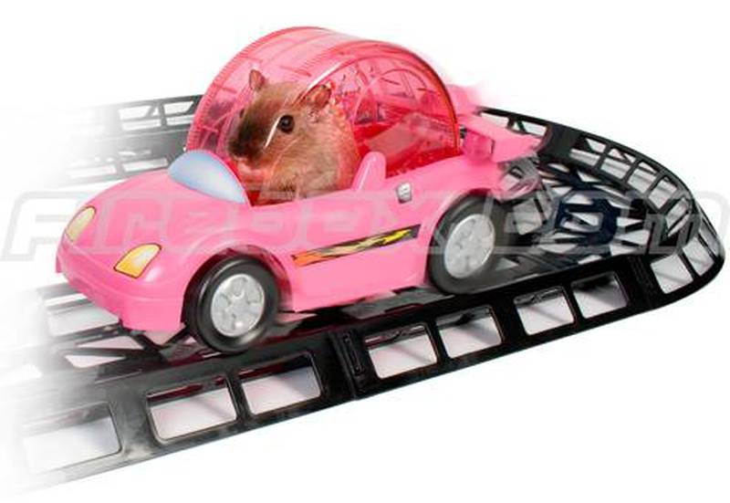 Avances en juguetes para hamsters: ¡coches de carreras!