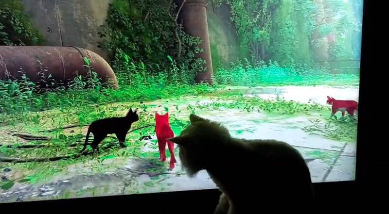 Stray é um game futurístico com gatos para PS5 e PC