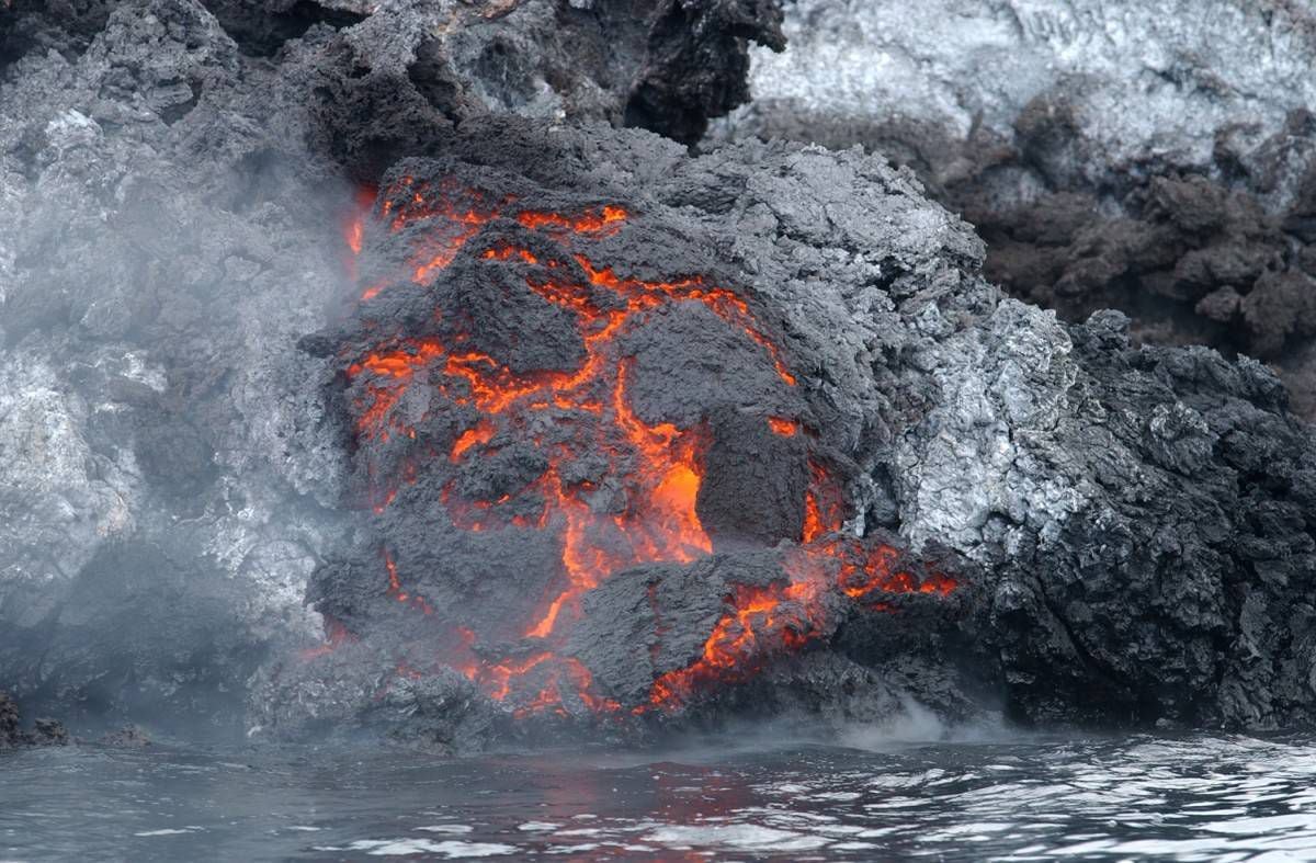 Las huellas de los animales en las cenizas del volcán