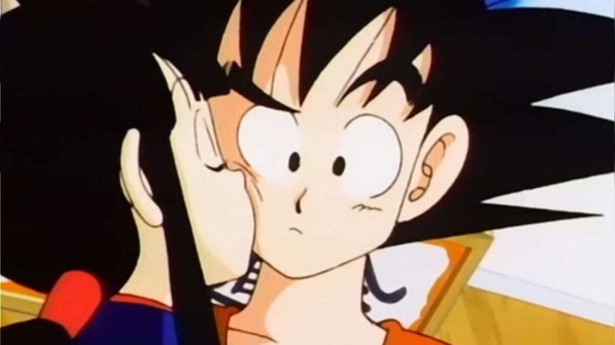 AbraKadabra Fantasias - O @instablogdodudu assumiu a identidade do Goku e  saiu por aí para buscar as esferas do dragão! 🐲 Quem mais aí tem um Super  Sayajin em casa? A nossa