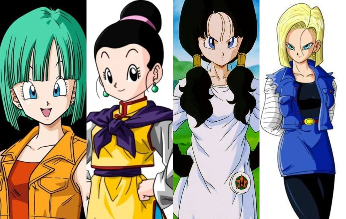 Dragon Ball: estos son todos los saiyajin que hemos visto en la saga –  FayerWayer