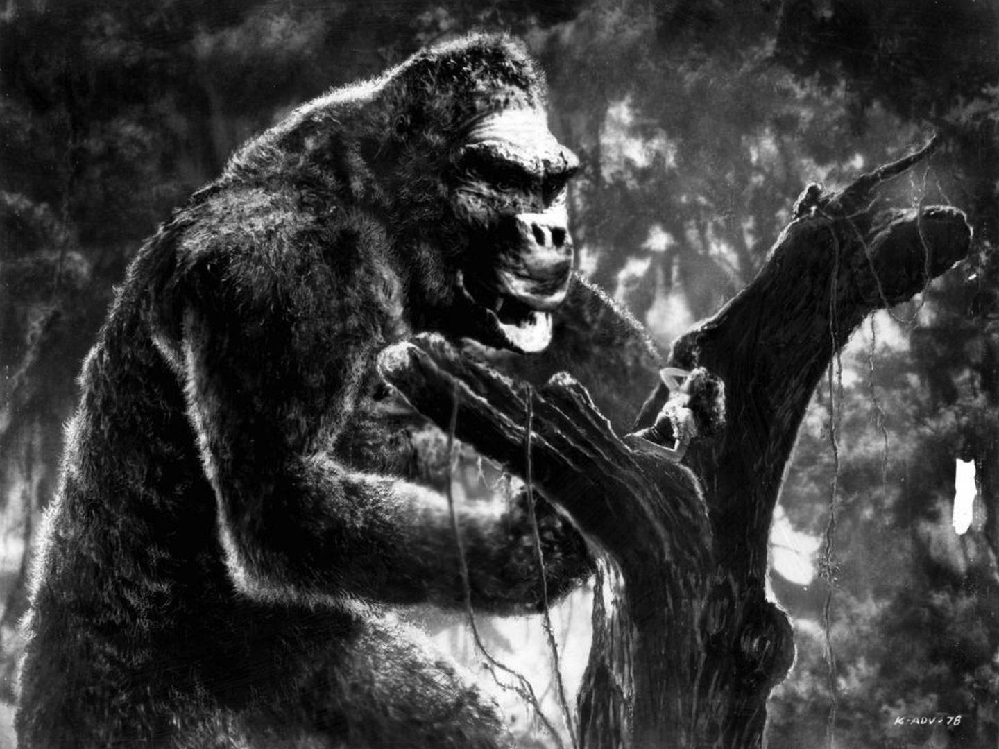 Podría existir un gorila tan grande como King Kong? – FayerWayer