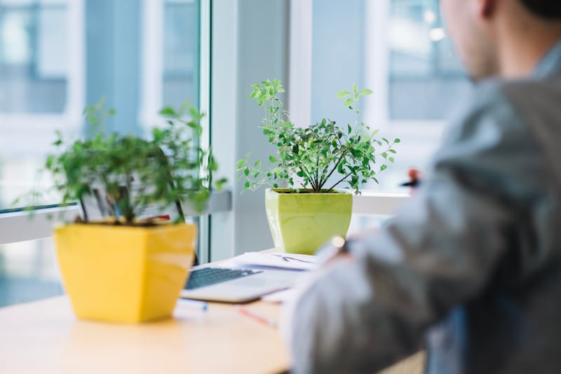 Los pequeños cambios pueden generar un gran impacto en el medio ambiente y en tu negocio. Aquí unos consejos para transformar tu oficina en un modelo de sustentabilidad