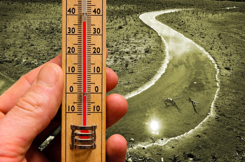 contiene un diagnóstico objetivo de cómo el cambio climático está afectando al Estado y de cuáles son los escenarios climáticos futuros.