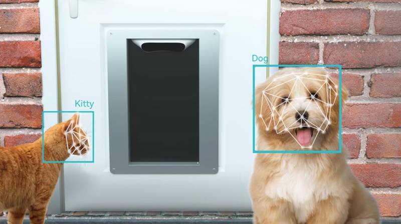 Petvation, la puerta para mascotas que usa reconocimiento facial para dejar  pasar solo a tu perro o gato – FayerWayer